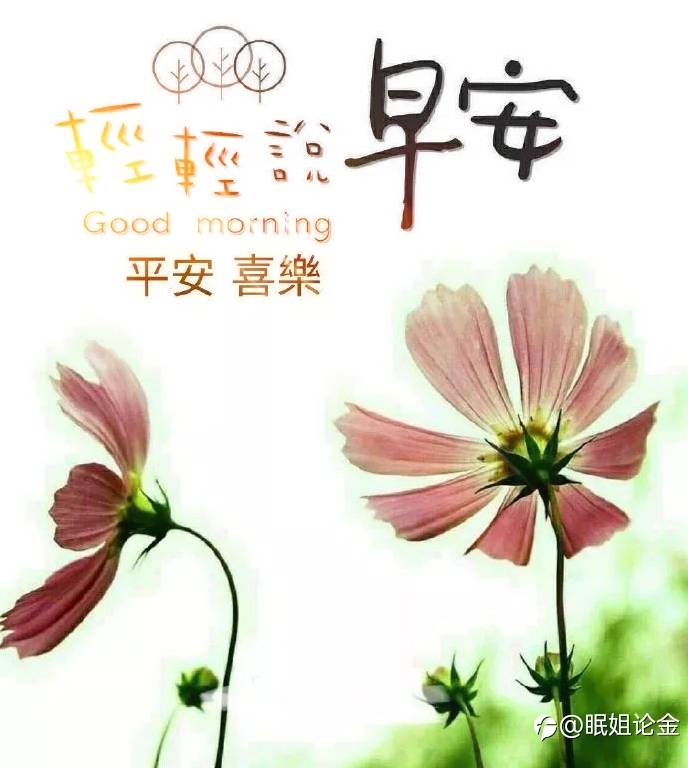 feed-image-0