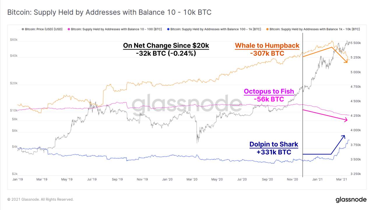 老杨说币：BTC牛市或进入后期阶段 部分鲸鱼已减持BTC