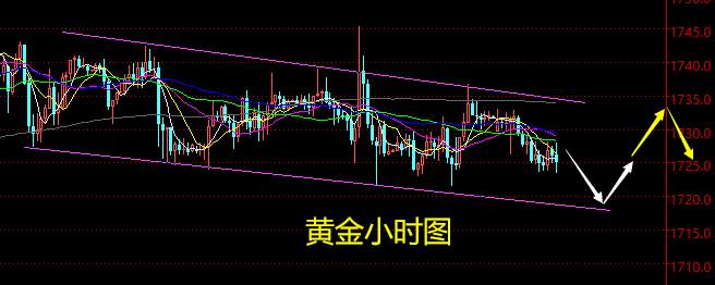 老黑策略：3.29晚盘外汇、黄金、原油分析策略