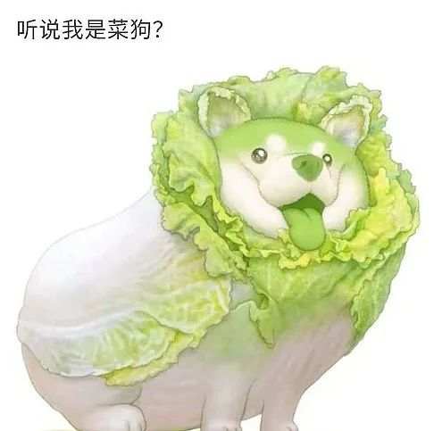 绿我可以，不要绿我的基金