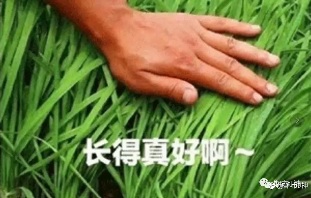 通往交易成功的道路，漫长但不拥挤