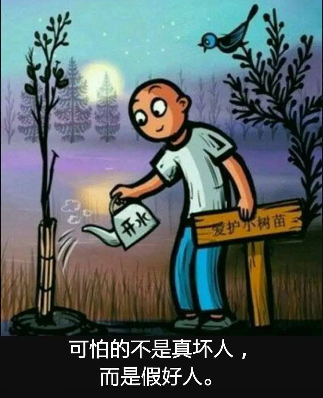 汇查查：虚伪心狠假好人，伙同Digital Wealth平台生吞用户70W
