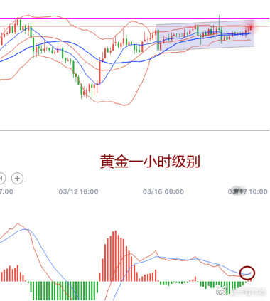 吉豆子：别说黄金无聊，能盈利就是好行情