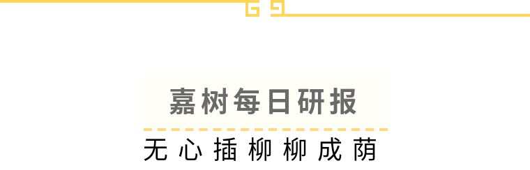 嘉树：无心插柳柳成荫！