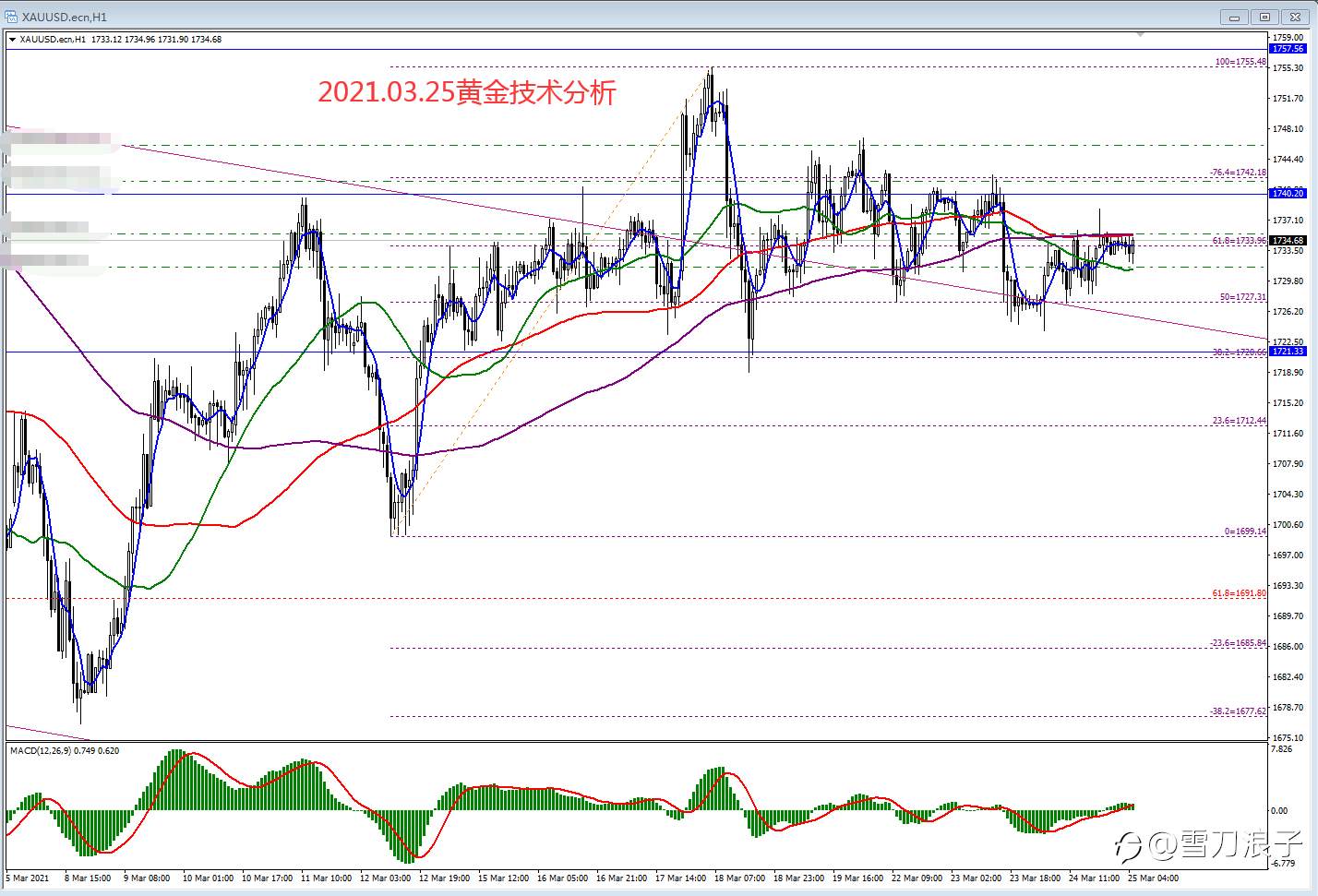 2021.03.25黄金技术分析