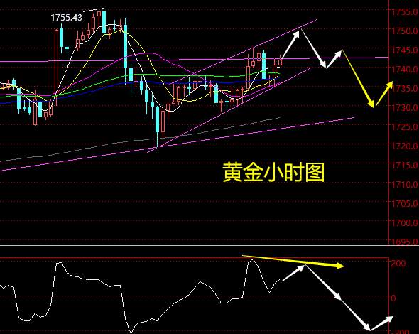 老黑策略：3.19晚盘外汇、黄金、原油分析策略