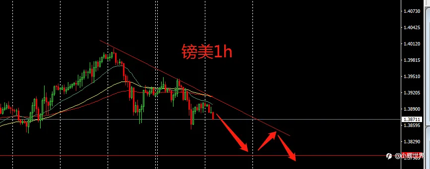 每日做单计划