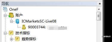 feed-image-2