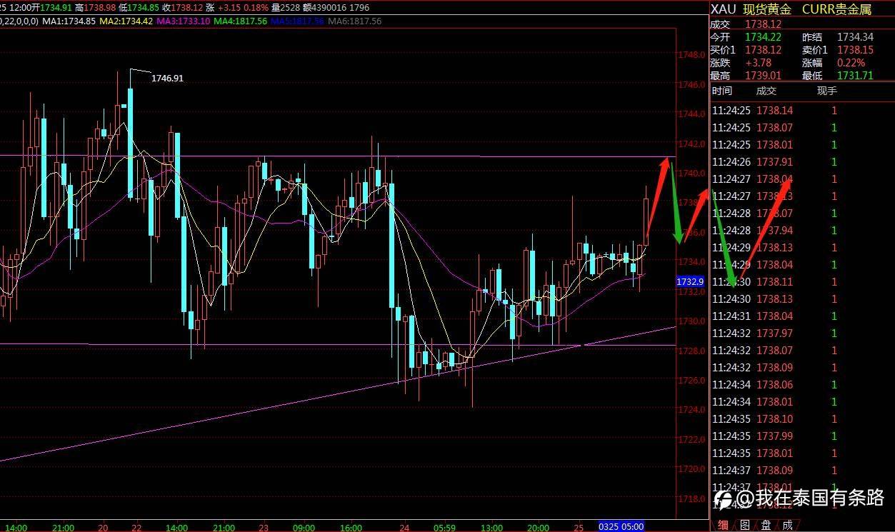 feed-image-0