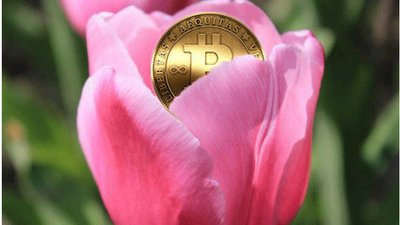 比特币不过是时隔多年的郁金香骗局罢了，你真的知道比特币是什么吗？