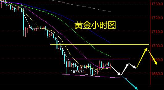 老黑策略：3.31晚盘外汇、黄金、原油分析策略