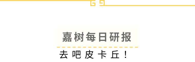 嘉树：去吧，皮卡丘