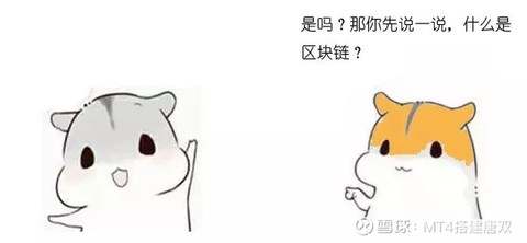 伟伽科技】通俗解释什么是区块链（漫画图文版）