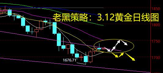 老黑策略：3.12黄金分析策略