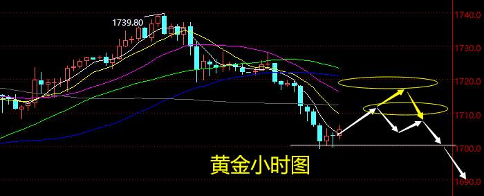 老黑策略：3.12晚盘外汇、黄金、原油分析策略