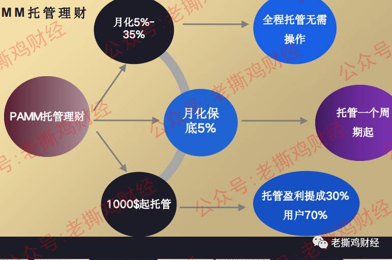 BDG邦德国际外汇托管-国人搞的资金盘，站台演员被拖下水！！