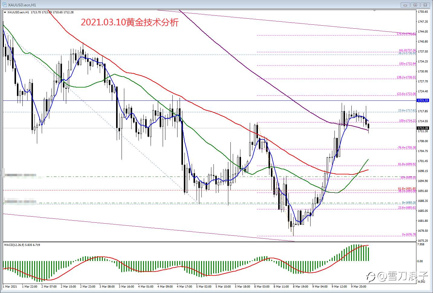 2021.03.10黄金技术分析