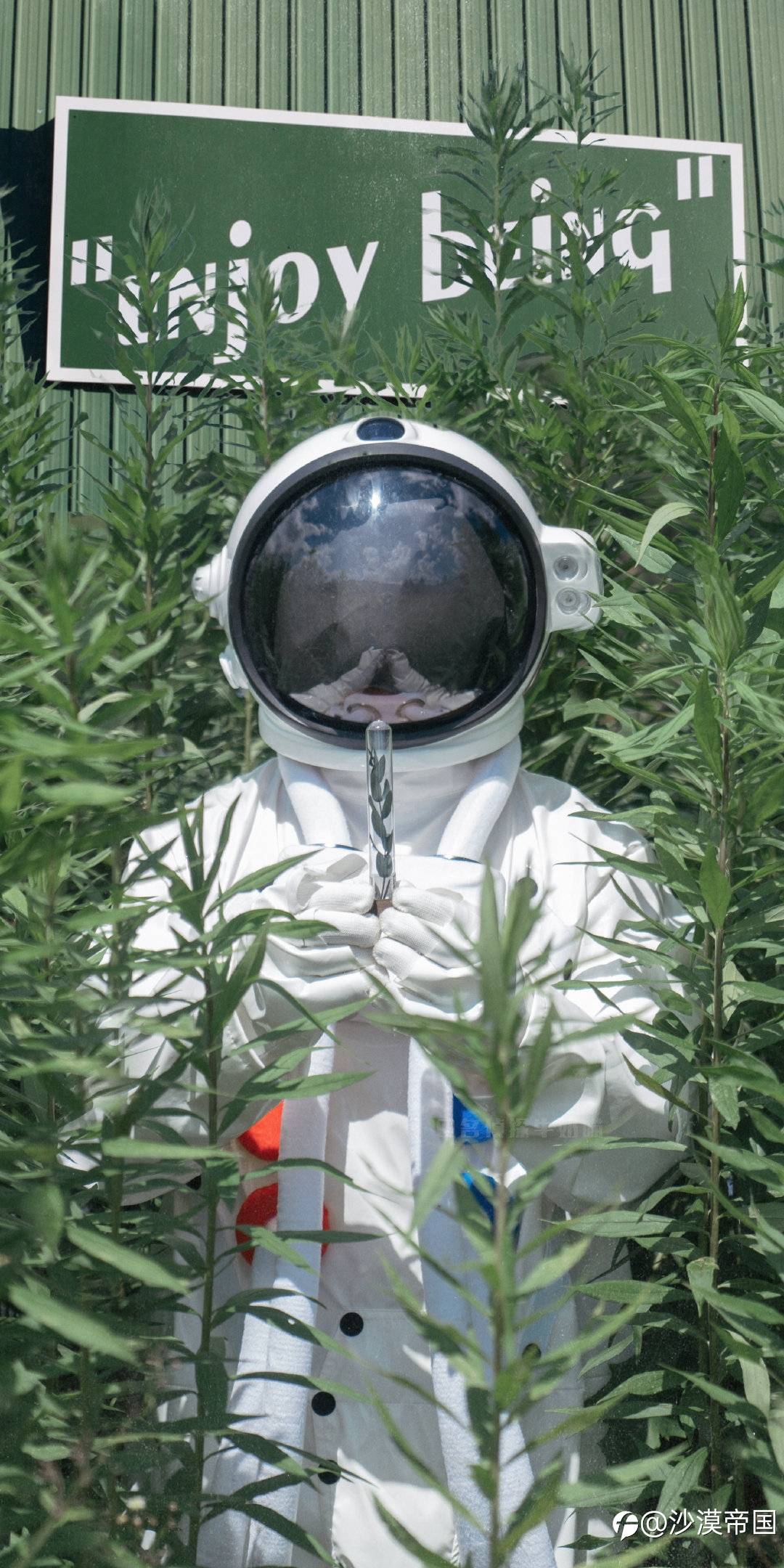 2021.3.4每日交易策略