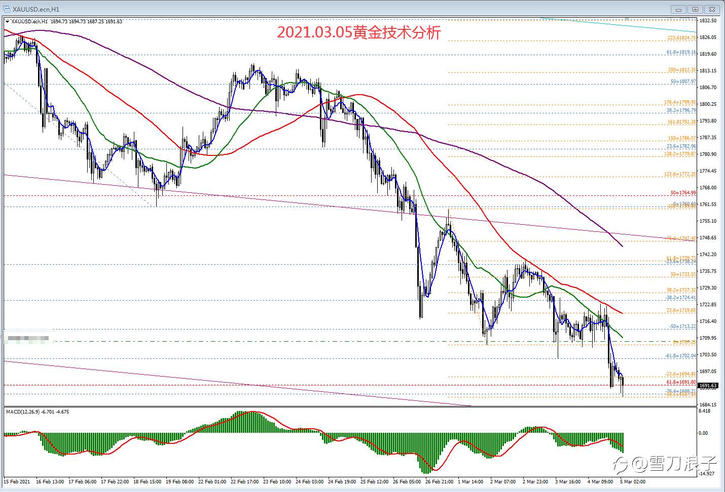 2021.03.05黄金技术分析