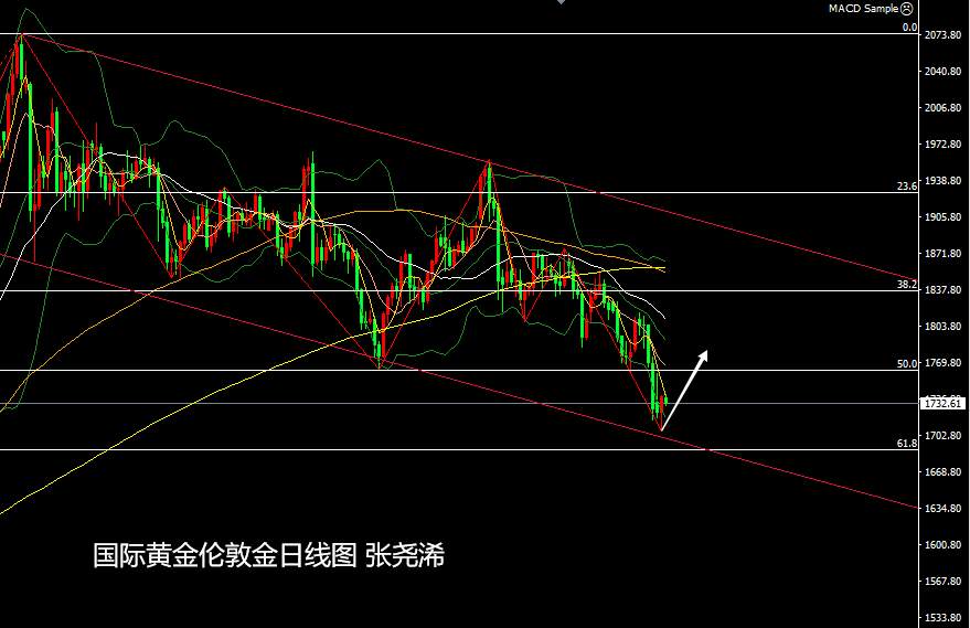 张尧浠：美指回落黄金结束五连阴、短期反弹动能看延续