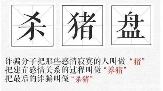 汇查查：杀猪盘女网友主动还钱，背后牵出1.2亿大案