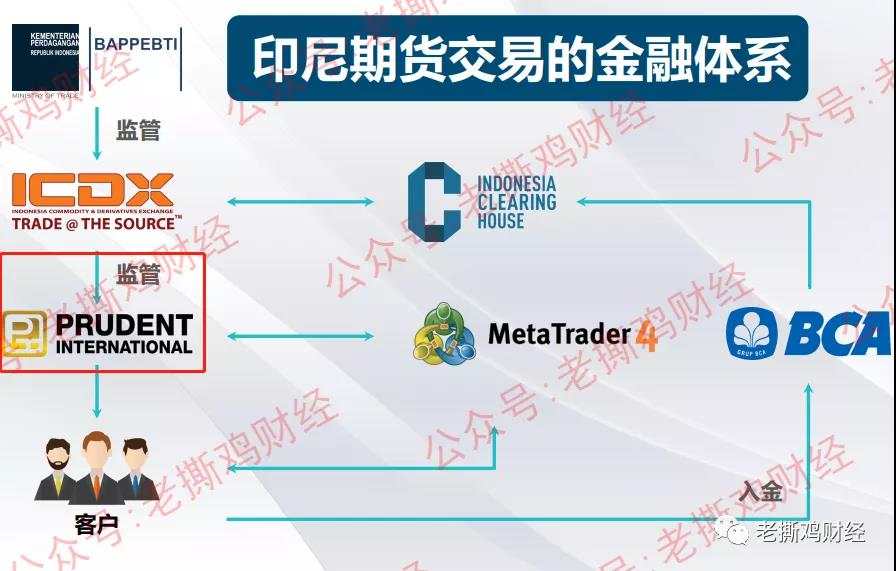 卷钱1千亿的普顿跑了，这家黑平台却来了！！