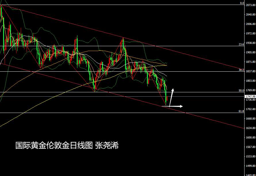 张尧浠：黄金抛盘超跌再触通道支撑、本周关注反弹需求