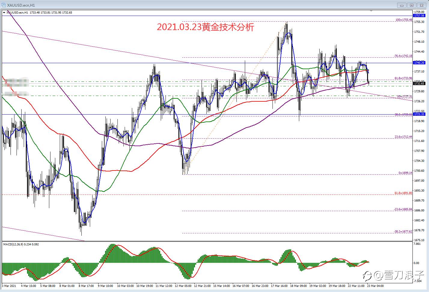 2021.03.23黄金技术分析