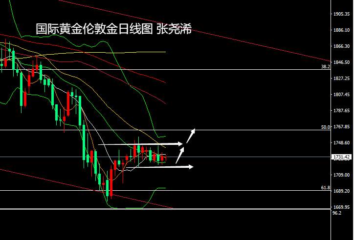 张尧浠：拜登携非农预袭、黄金震荡等待看涨良机