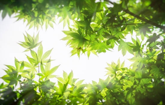 夏黛清：3.28黄金下周开盘该何去何从，原油操作布局！