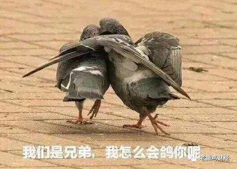 【预警】SCEX合约交易所即将跑路，逃命的最后窗口！！
