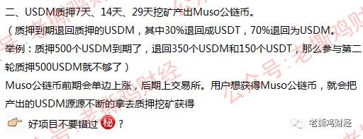MUSO马其顿DeFi公链-实锤金玉其外败絮其中，国人搞的盘子！！