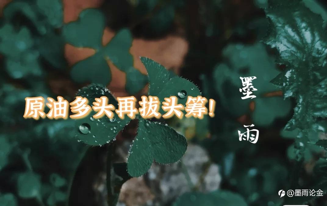 墨雨: 原油多头再拔头筹!