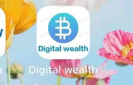 汇查查：虚伪心狠假好人，伙同Digital Wealth平台生吞用户70W