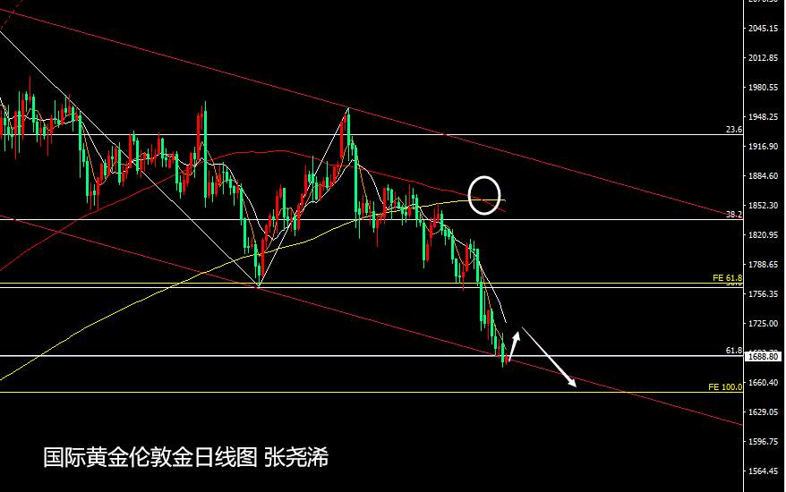 张尧浠：美指美债初生遇阻预期、黄金反弹仍有低点风险
