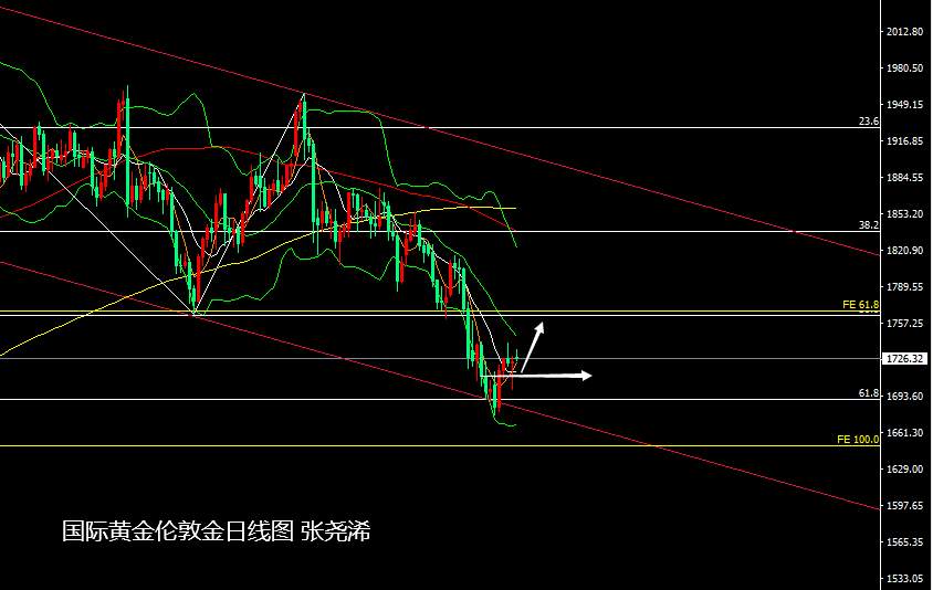 张尧浠：基本面利空现技术上止跌、黄金谨慎震荡看涨