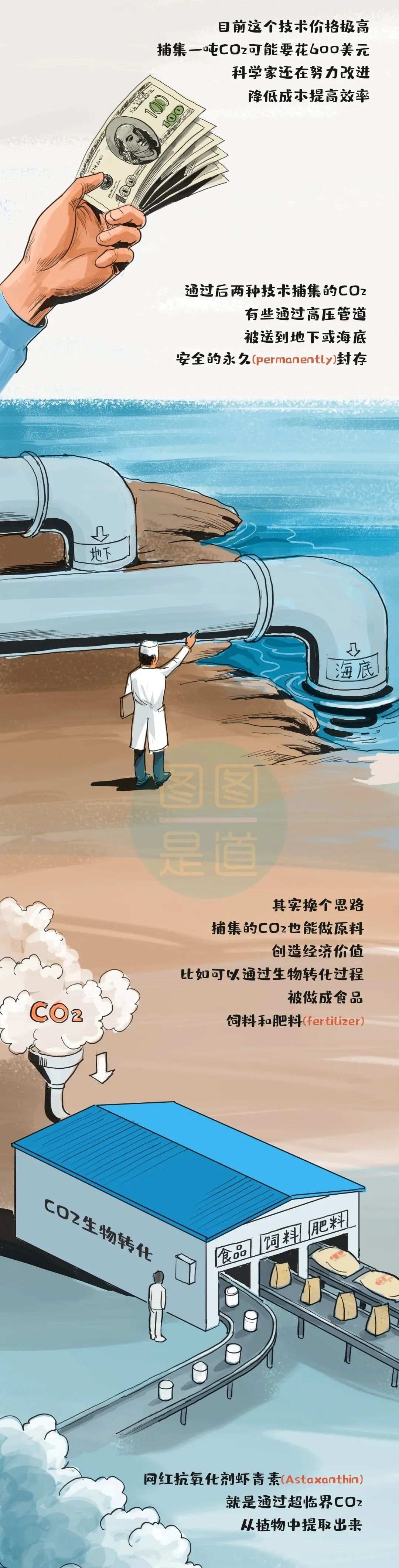 一幅漫画了解“碳中和”