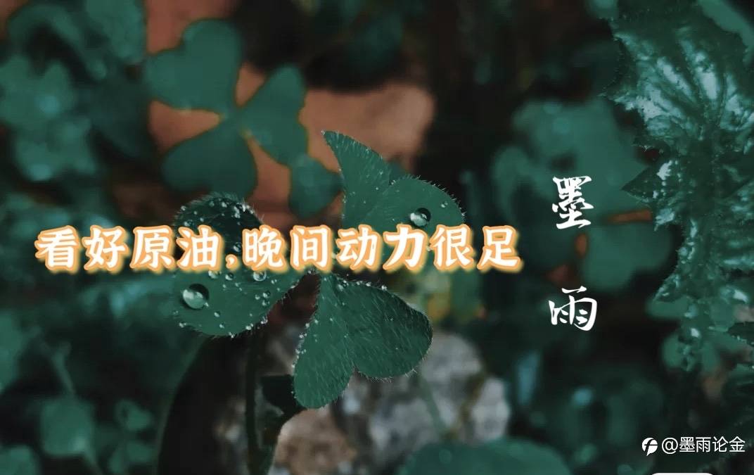 墨雨:看好原油,晚间动力很足