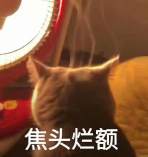 一周热点：1.9万亿闪亮登场，比特币再度飞天