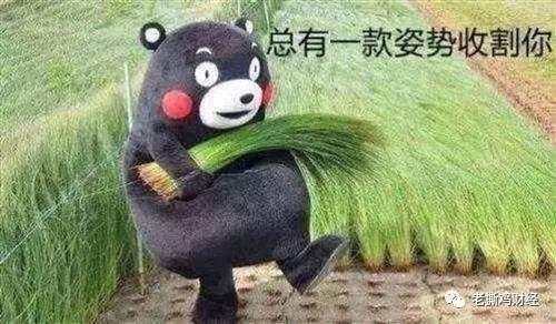 【预警】SCEX合约交易所即将跑路，逃命的最后窗口！！