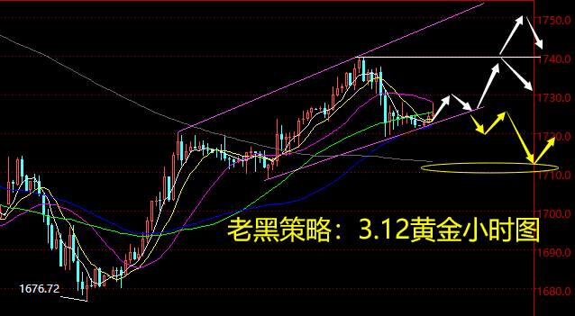 老黑策略：3.12黄金分析策略