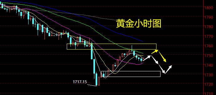 老黑策略：3.1晚盘外汇、黄金、原油分析策略