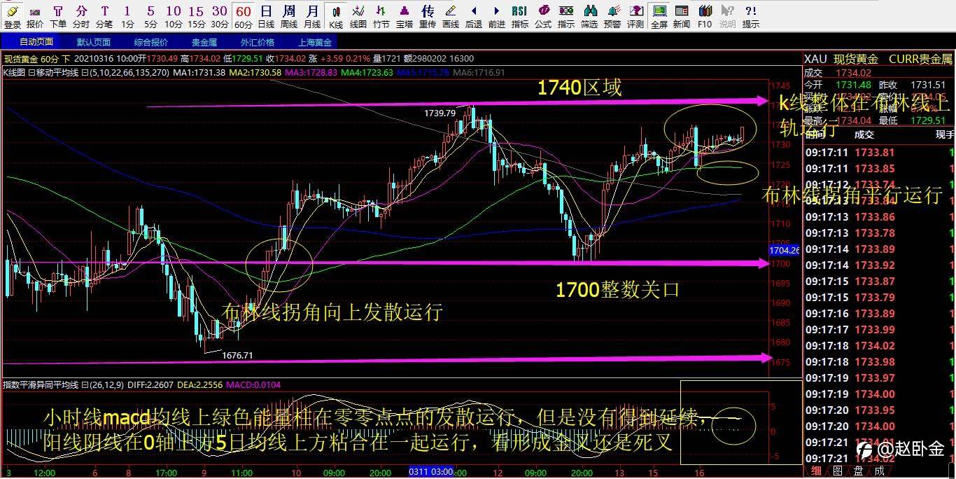 3.16号黄金解析以及操作策略布局！