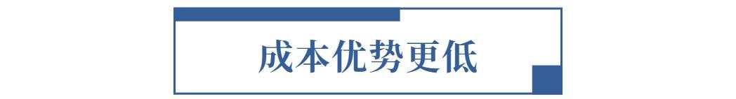 圣农发展——白羽肉鸡领域全产业链的主导者