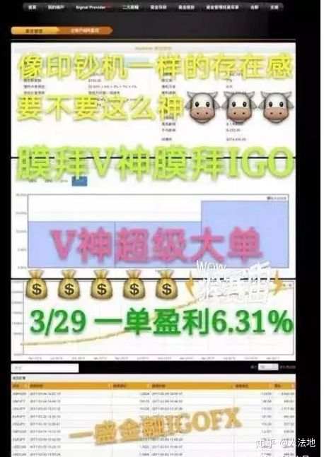 外汇资金盘你不知道的内幕,你们没有爆仓,只是本金被吃掉了