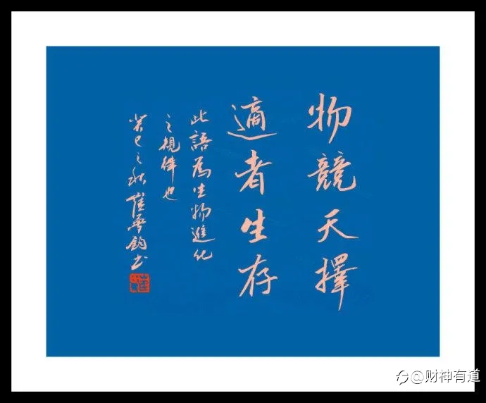 物竞天择，适者生存-交易者时刻需要警醒的生存法则