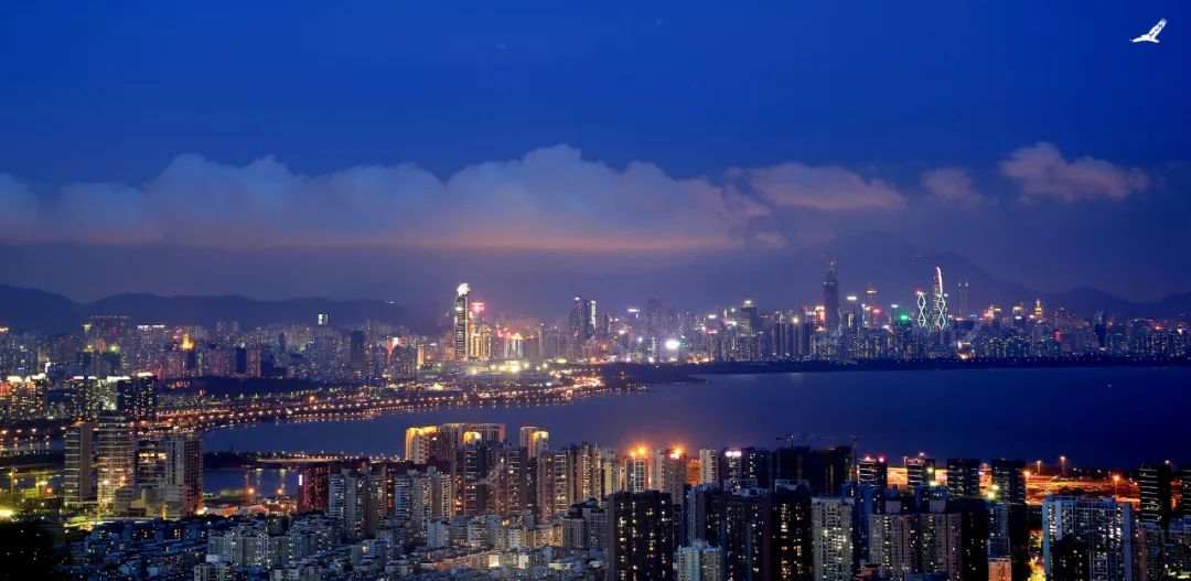 痛定思痛！深圳大幅增加居住用地，房价已触顶！