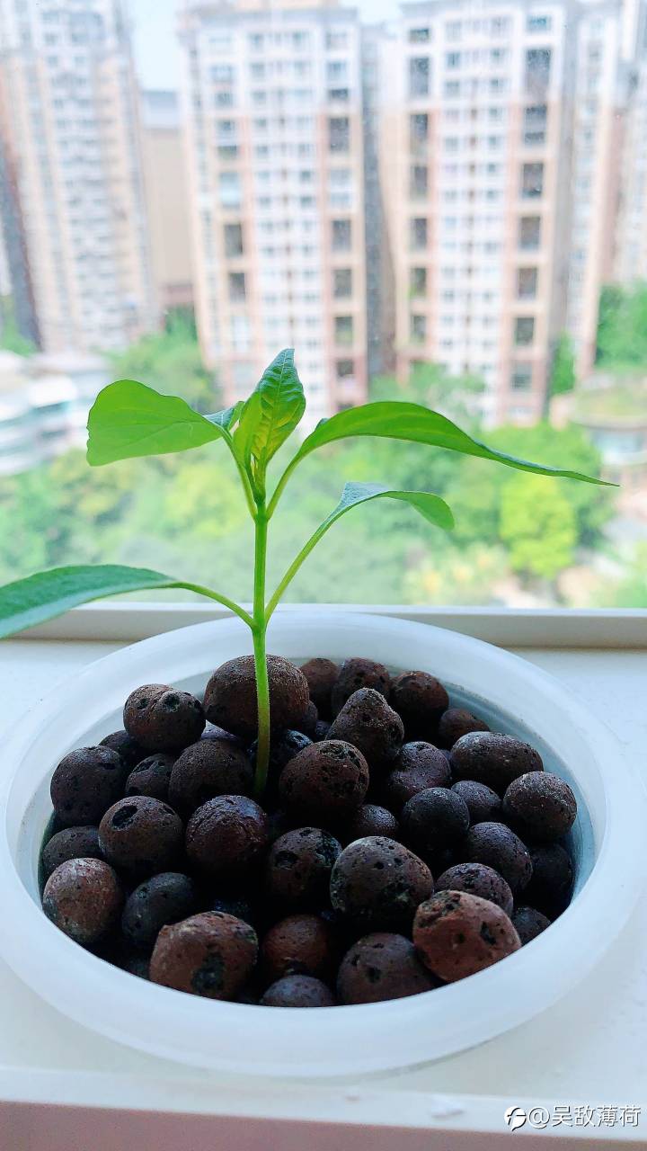 选个中意的职业，拿上称心的武器，开干