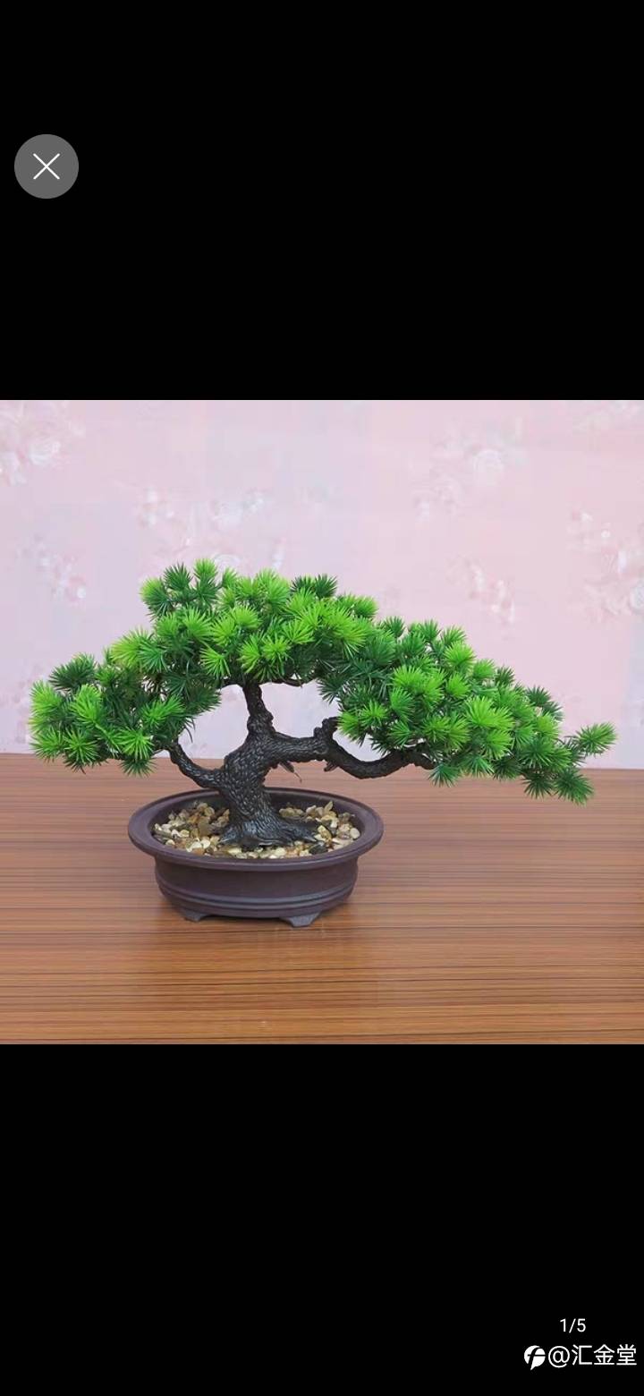铭记失败,拥抱未来。