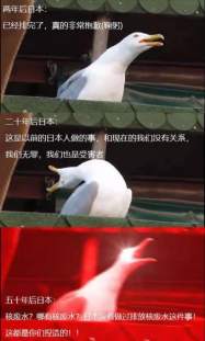 一周热点：日本有“辐”同享，比特币逆天大涨
